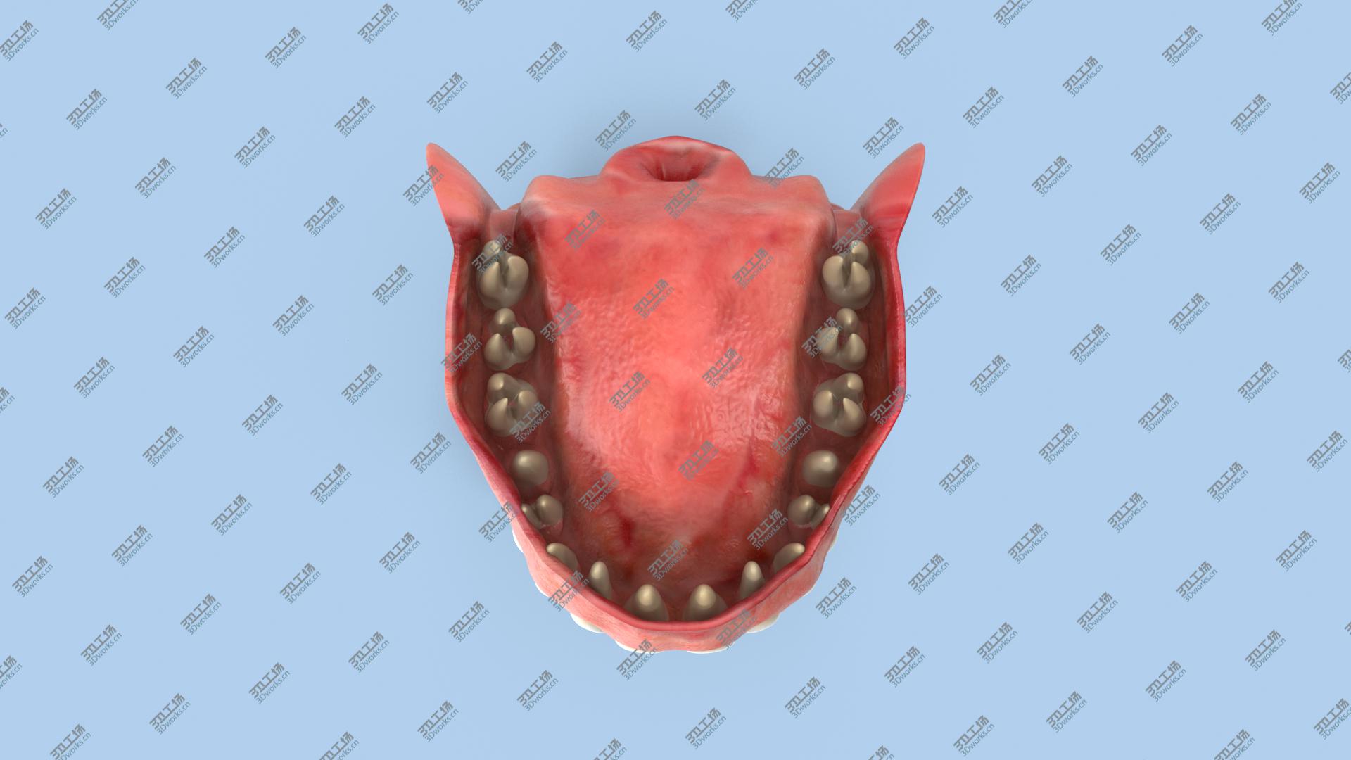 images/goods_img/20210313/Teeth and Gums/4.jpg